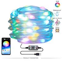 „Bluetooth“ Kalėdų šventės šviesa RGB spalvinga pasakų lemputė Kalėdų eglutės papuošalai namo Naujųjų metų dekoras LED girlianda 20M 2m