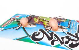 Jackall Soft Lure Ikegaeru Elastomer 26mm Frog Peach Frog (9108)