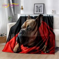 Animacinis prancūzų pitbulio šuo augintinis minkštas pliušinis pledas, flanelinis pledas metamas pledas svetainei miegamojo lovai sofai piknikui danga 75x100cm (30x40inch)