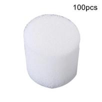 100 vnt. Nedirvožemio hidroponinio darželio kempinės daržovių auginimo padėklas 100pcs