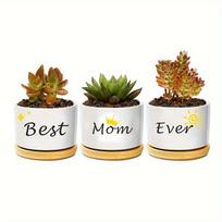 3pcs Set of Hand-painted Ceramic Succulent Pot Plant Pots with Drainage and Bamboo Tray As Desktop Decoration Gift Box brown