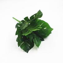 Dirbtinių vėžlių lapų žalumynų dekoracija - 9 galvų dirbtiniai lapai sienoms arba vazonams 9 Monstera Leaves