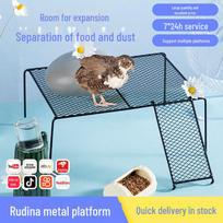 Luding vištienos tiektuvo tinklelis ir maisto dėžutės platforma Large Black without Ladder gray