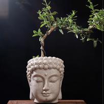 Buddha Head Figurine Flower Pot Desktop Ornament Bonsai Resin Sculpture Planter for Bedroom Office Style B