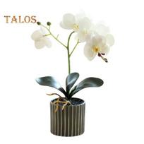 Dirbtinis vazoninis augalas Dirbtinis kandžių orchidėjų bonsas Staliniam kompiuteriui Dirbtiniai vazoniniai Phalaenopsis žiedai namų valgomojo stalui, biuro stalui dekoruoti balta
