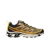 Salomon Xt-6 Expanse Cathay Spice 285