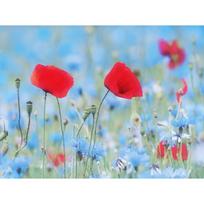 5D DIY Diamond Painting Safflower Diamond Embroidery Mosaic Cross Stitch Rhinestone Decor 20X30CM red