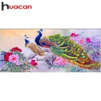 „Huacan“ „pasidaryk pats“ 5D apvalus deimantinis paveikslas, didelis „Paecock“ siuvinėjimas, kryžminio siuvimo namų dekoras 35*70 CM