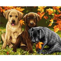 Diamond Embroidery Chihuahua Puppy Diy Diamond Painting Cross Stitch Cute Pet Diamond Embroidery Dog Animal 20X30CM