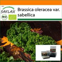 SAFLAX Sodas maiše – Ekologiški – Lapiniai kopūstai – Westland Winter – 70 sėklų – Su substratu tinkamame maišelyje – Brassica oleracea