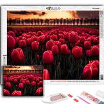 Visas 5D „Pasidaryk pats“ deimantinė tapyba Gėlės Tulpes 5D deimantinė tapyba Full Square 20X30CM red