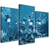 Three piece picture canvas print Dandelion Dew Turquoise Nature 60x40 mėlyna