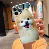 Phone Case For Iphone 14 13 12 11 Pro Max Xs Max Xr X 12mini 14 Plus Se Pomeranian Dogs Dog Case Funda Capa Cell iphone XR