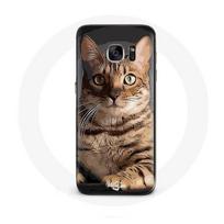 Coque pour samsung galaxy S6 edge Bengal Race de Chats