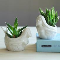 Cartoon Cute Mermaid Ceramic Succulent Pot White Flower Pot Planter Desktop Ornaments Creative Vase Home Decor Plant Pot Garden Decoration gray