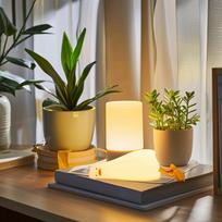 Adorable Duck-Shaped LED Night Light: Silicone Touch Control, Dimming, and Timer Functions - Perfect for Bedroom Decoration balta