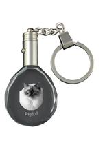 Ragdoll - Fobas su katės nuotrauka, krištolinis raktų pakabukas dovanų dėžutėje, unikalus Art-Dog prekės ženklo dovanų rinkinys skaidri