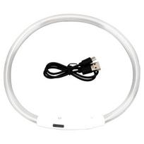 LED šunų antkaklis šviečiantis USB katės šuns antkaklis 3 režimai LED šviesa šviečianti apsauga nuo praradimo LED antkaklis šunims naminių gyvūnėlių šunų priedai S(35CM) balta