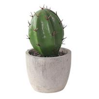Decorative Bonsai Ornament Eco-Friendly Cement No Fading A