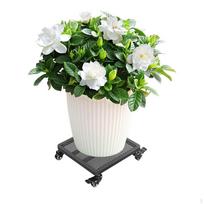 Flower Pot Mover Trolley with Wheels for Indoor and Outdoor Use juoda