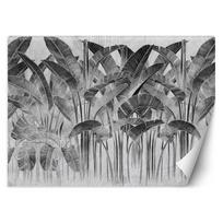 Wallpaper Banana leaves in black and white 100x70 balta/juoda