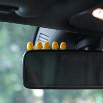 5 vnt. Automobilio Mini Maža Geltona Antis Gegutė Vištiena Galinio Vaizdo Veidrodėlis Prietaisų Skydelio Papuošalai Moteriai Vyrui Dovana Automobilio Aksesuarai Juokingi gray