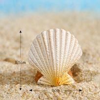 Animacinis banglentė kriauklės jūros paukščiai delfinai ornamentai derva akvariumo dekoras 3*3.1cm white