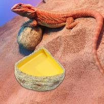 Reptile Water Bowl ,Food Feeding Resin Terrarium Plate Feeder Food Dish for Chameleon S brown