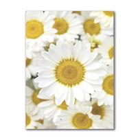 Sienų menas Drobės tapyba Citrina Chrizantema Saulėgrąža Traukinys Durys Langai Nostalgiškas Kaimas Plakatai ir Spaudiniai Paveikslai Dekoravimas 21cm×30cm NoFrame yellow
