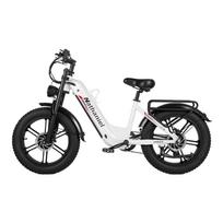 Nathaniel SYR08 City Commuting E-Bike,Dual Motor 2000W,20x4.0 Integrated Wheel,48V20AH,Speed 50+, Snow/Sand Outdoor cycling 20*4.0 juoda