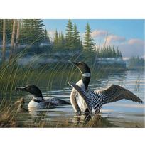 5d deimantinis paveikslas Mandarinų antis Rubiko kubas deimantinis siuvinėjimas amatų tapyba spalvinga sienų dailė 20X30CM