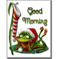 5D DIY Diamond Painting Funny frog Cross Stitch Kit Mosaic Diamond Embroidery Rose Full Round/Square Drill Home Decoration Round 20x30cm