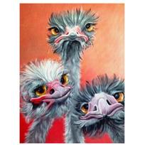 5D „pasidaryk pats“ deimantinis paveikslas „Animacinis filmas Strutis“ Siuvinėjimas Kryželiu 5D Namų dekoro dovana Full Round 20x30CM