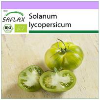 SAFLAX – Ekologiškas – Pomidoras – Žaliasis zebra – 10 sėklų – Solanum lycopersicum