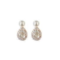 Imitation Pearl Earrings, Feminine and Niche Design Sense, High-end Silver Needle Earrings, Mosquito Coils, and Ear Coils