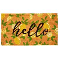 Front Door Welcome Mat with Backing Absorbent Wear Resistant Highly Anti-Slip Decorative Entry Door 40x60cm D