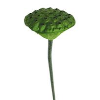 Faux Pods Artificial Seedpod for Wedding Decoration Table Arrangement Elegant Home Decoration green