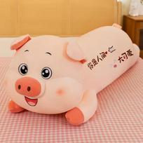 New Cute Pony Pig Plush Toy Long Pillow Doll Creative Large Rag Doll Sleeping Doll W3522WW-100cm
