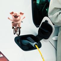 Ekscentriškas paršelis važiuojantis dviračiu Stiklinis fonas Dekoracija Dekoratyviniai lipdukai 12*16cm /fun-f668 uv
