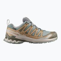 Vyriški bėgimo batai Salomon XA Pro 3D V9 GTX sedona sage/brilliant olive