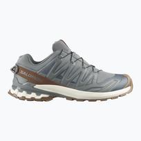 Vyriški bėgimo batai Salomon XA Pro 3D V9 GTX Lifelong sedona sage/coyote brown