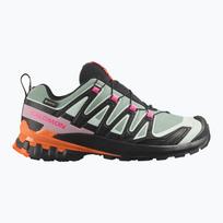 Moteriški bėgimo batai Salomon XA Pro 3D V9 GTX Icon black/green milieu