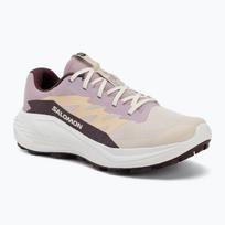 Moteriški bėgimo batai Salomon Alphaglide tapioca/dawn pink