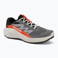 Vyriški bėgimo batai Salomon Alphaglide GTX castlerock/lunar rock