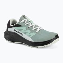Moteriški bėgimo batai Salomon Alphaglide GTX green milieu/asphalt