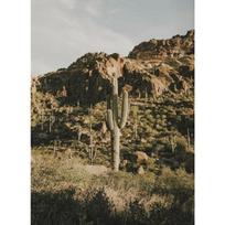 Vintage Arizona Landscape Posters and Prints Antelope Canyon Cactus Desert Canvas Painting Wall Art Picture for Room Home Decor 21cm×30cm NoFrame