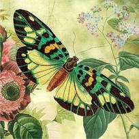 Home Decoration 5D DIY Diamond Painting Butterfly Diamond Embroidery Cross Stitch Picture Of Rhinestones 30X30CM black