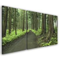 Trijų dalių paveikslų spausdinimas ant drobės Forest Street Trees Nature 60x40 žalia