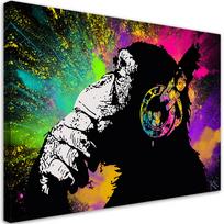 Spalvinga Banksy beždžionė ant drobės 60x40 įvairiaspalvis