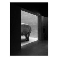 Juodai balti modernūs gyvūnų sienų meno plakatai laiptams Panda Elnias Zebra Žirafa Drobės paveikslai Paveikslai interjero namų dekorui 21cm×30cm NoFrame gray
